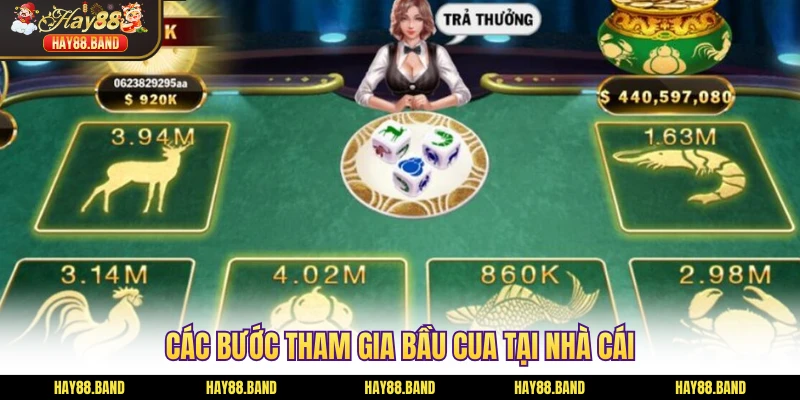 Các bước tham gia bầu cua tại nhà cái