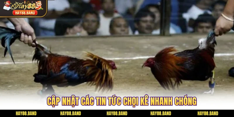 Cập nhật các tin tức chọi kê nhanh chóng