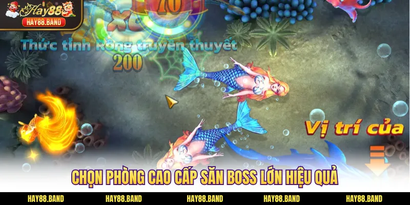 Chọn phòng cao cấp săn boss lớn hiệu quả
