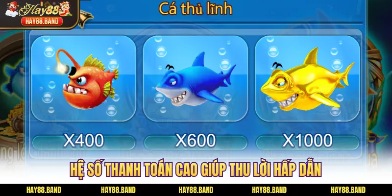 Hệ số thanh toán cao giúp thu lời hấp dẫn