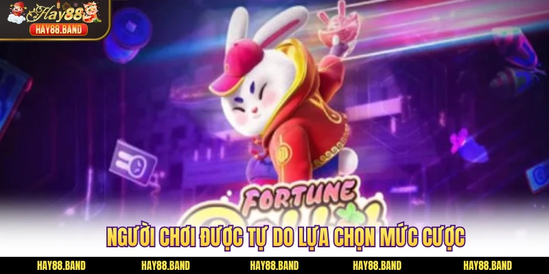 Người chơi được tự do lựa chọn mức cược