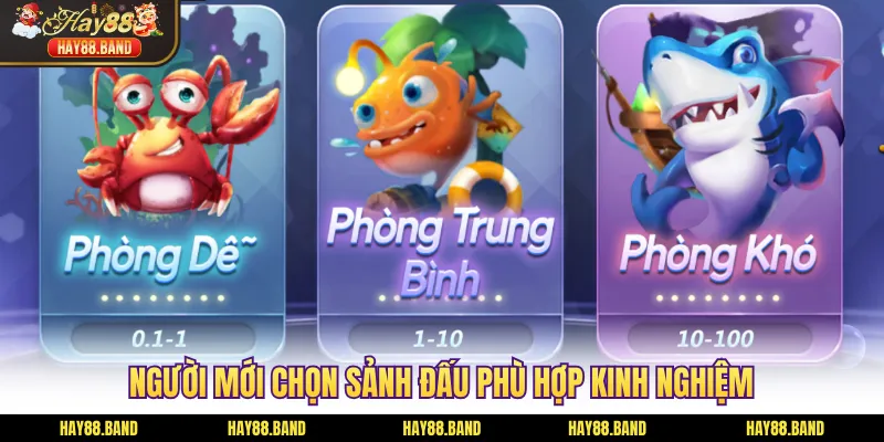 Người mới chọn sảnh đấu phù hợp kinh nghiệm