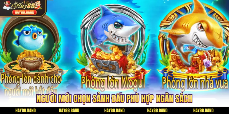 Người mới chọn sảnh đấu phù hợp ngân sách