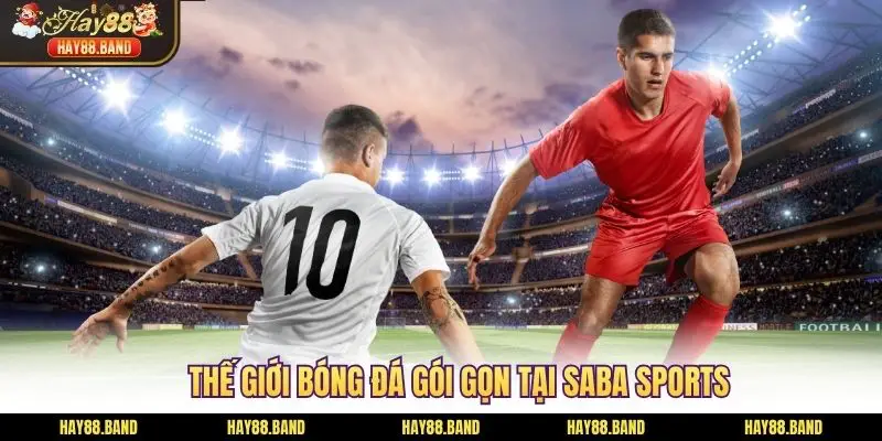 Thế giới bóng đá gói gọn tại SABA Sports