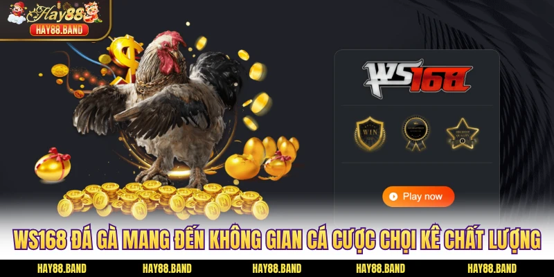 WS168 đá gà mang đến không gian cá cược chọi kê chất lượng